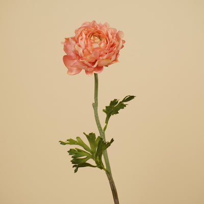 Zijde Ranonkel Spray – Roze (50 cm)