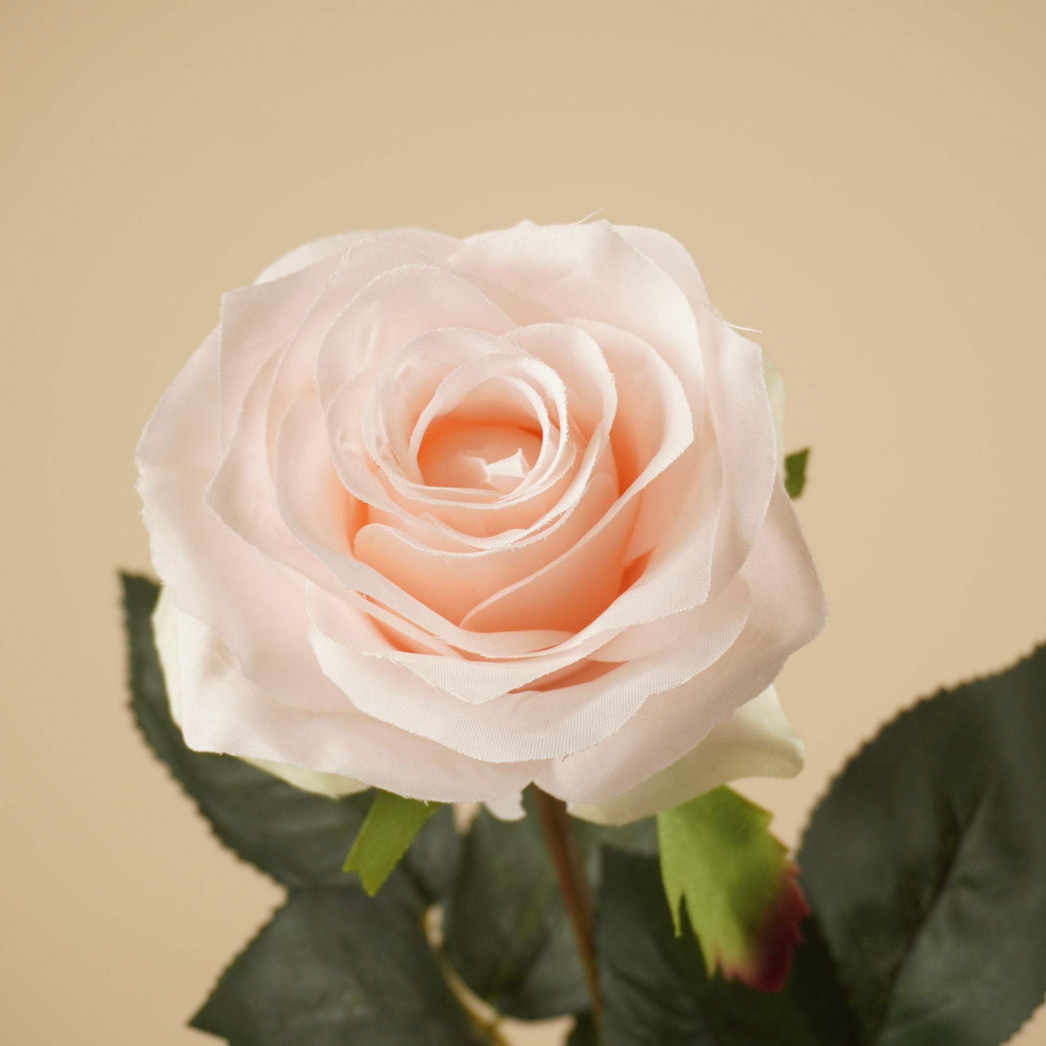Zijde Roos Simone – Licht Roze (45 cm)