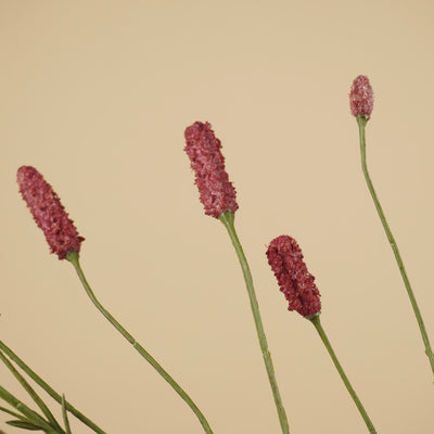 Zijde sanguisorba pluimtak magenta 109 cm